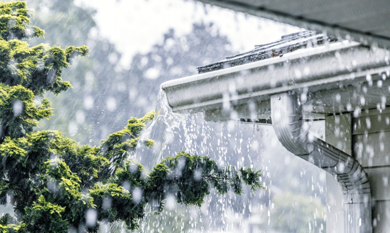 Proteger jardin tormentas